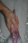 adea51ff27a8f0192d85dcd39d8a3e8c.jpg
