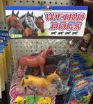 funny-fake-toy10-5c04e4a5cea93__700.jpg
