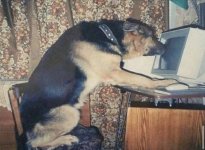 1988124183c48dc21eac1cef0f1fdc21-544933732.jpg