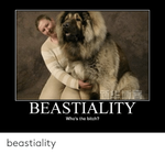 beastiality-whos-the-bitch-beastiality-49192816.png