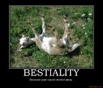 bestiality-bestiality-demotivational-poster-1200471651.jpg