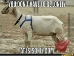 you-dont-have-to-be-lonely-atisisonly-com-funny-14375706.png