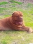 IMG_20200713_175740.jpg