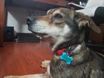 20200807_141909.jpg