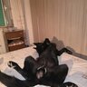 testme