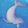 Dolphin69