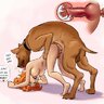 dogcouple