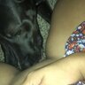 twerkelina