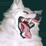 markedmutt