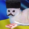 veterok