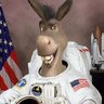 Space Donkey