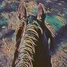 TheEquineMystique
