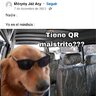 diego333