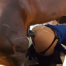 kmarcchi