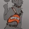pitbullxdog