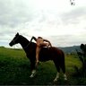 AHorseGhost