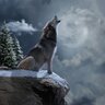 =Wolfit=