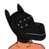 Bi_Dog_Lover