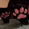 MangoDaKitty