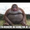 aussiebeastlover
