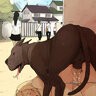 hkanima