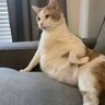 sugarcooky54
