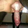K9Swallower