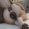 HornyForDogzz