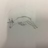 james_ri25788