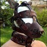 Westcoaststallion1212
