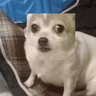 KappaMikey