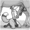 FurTheCurious