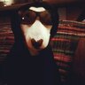 lil.terrier