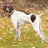 OhioBeastGuy82