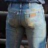 Barncowpoke61