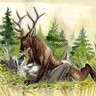 reindeerraider