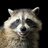 AnimalLover2019