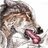 MN Knotty Wolf