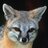 FoxyFacade
