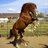 Horsecockjunkie98