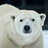 Polarbearlover