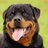 DewClaw