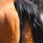 Mare-rider