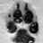doglover_75