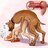 dogcouple