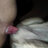 K9KnottyKnot
