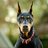K9studdog