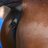MacroHorseSnack