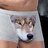 Txdog
