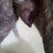 liking-femaledog